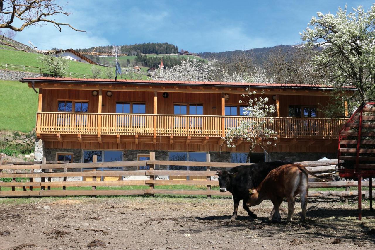 Neue Ferienwohnungen Auf Dem Gebreitnerhof, Urlaub Auf Dem Bauernhof Bressanone Esterno foto