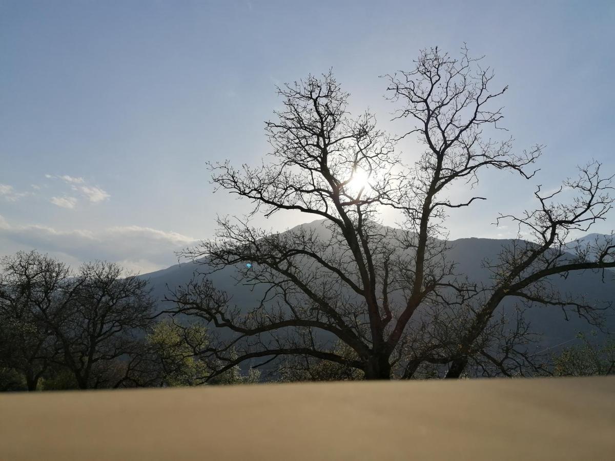 Neue Ferienwohnungen Auf Dem Gebreitnerhof, Urlaub Auf Dem Bauernhof Bressanone Esterno foto