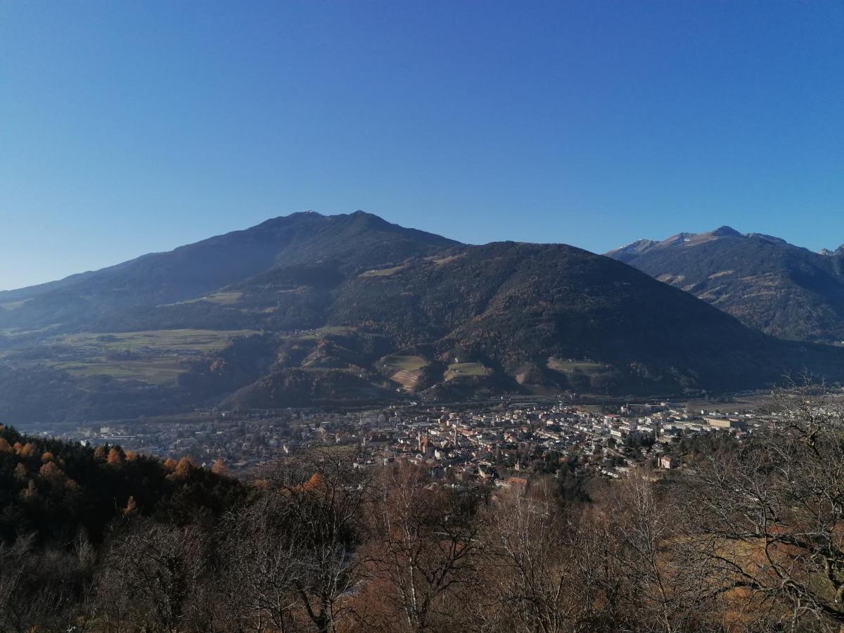 Neue Ferienwohnungen Auf Dem Gebreitnerhof, Urlaub Auf Dem Bauernhof Bressanone Esterno foto